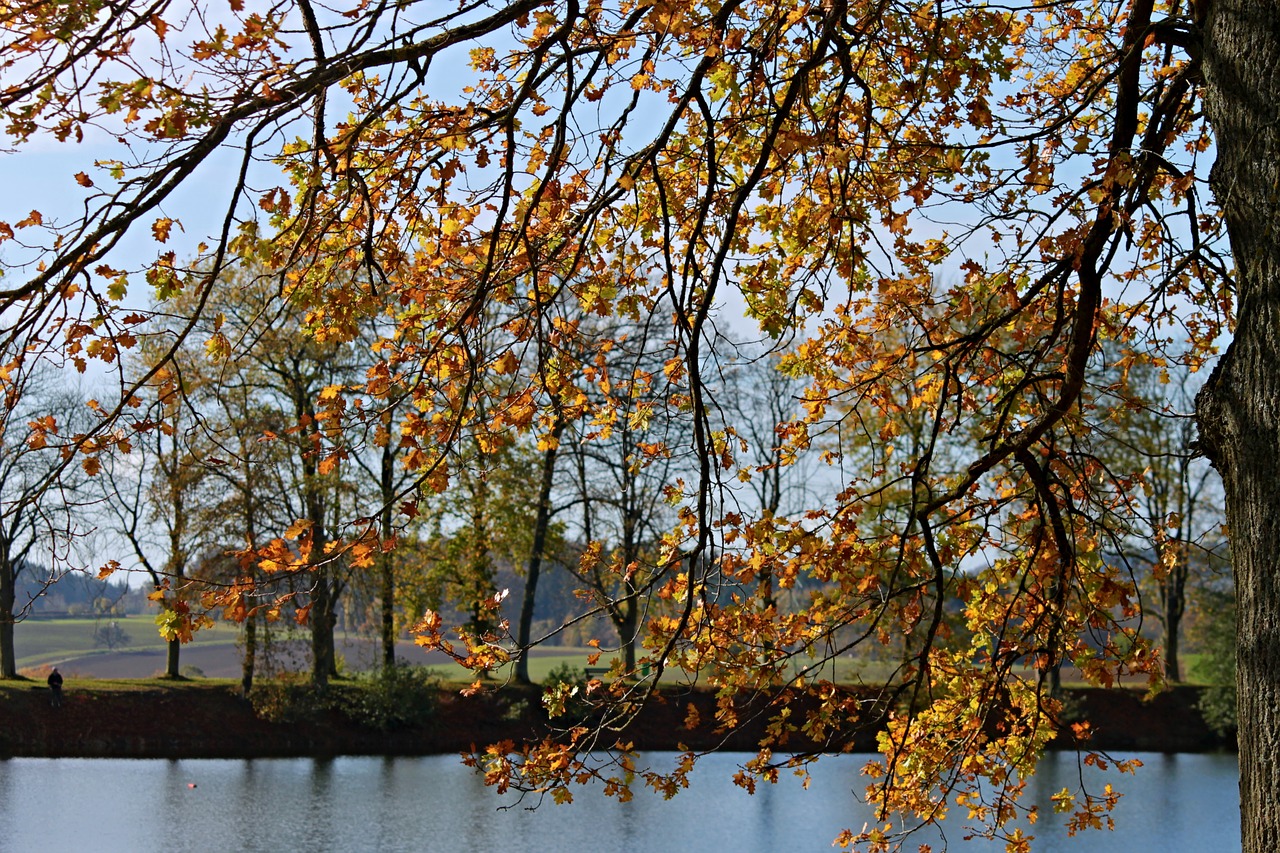 landscape autumn landscape lake free photo