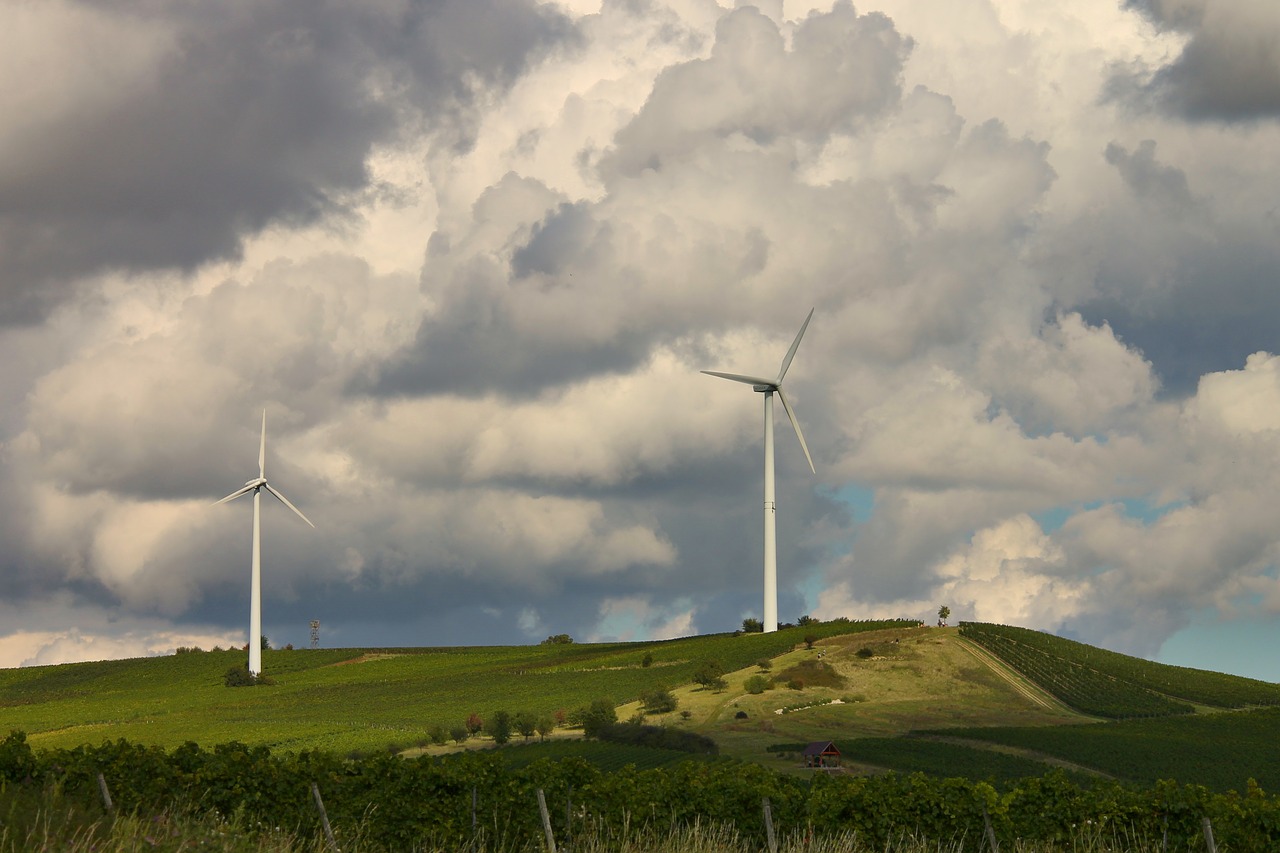 landscape vineyards windräder free photo