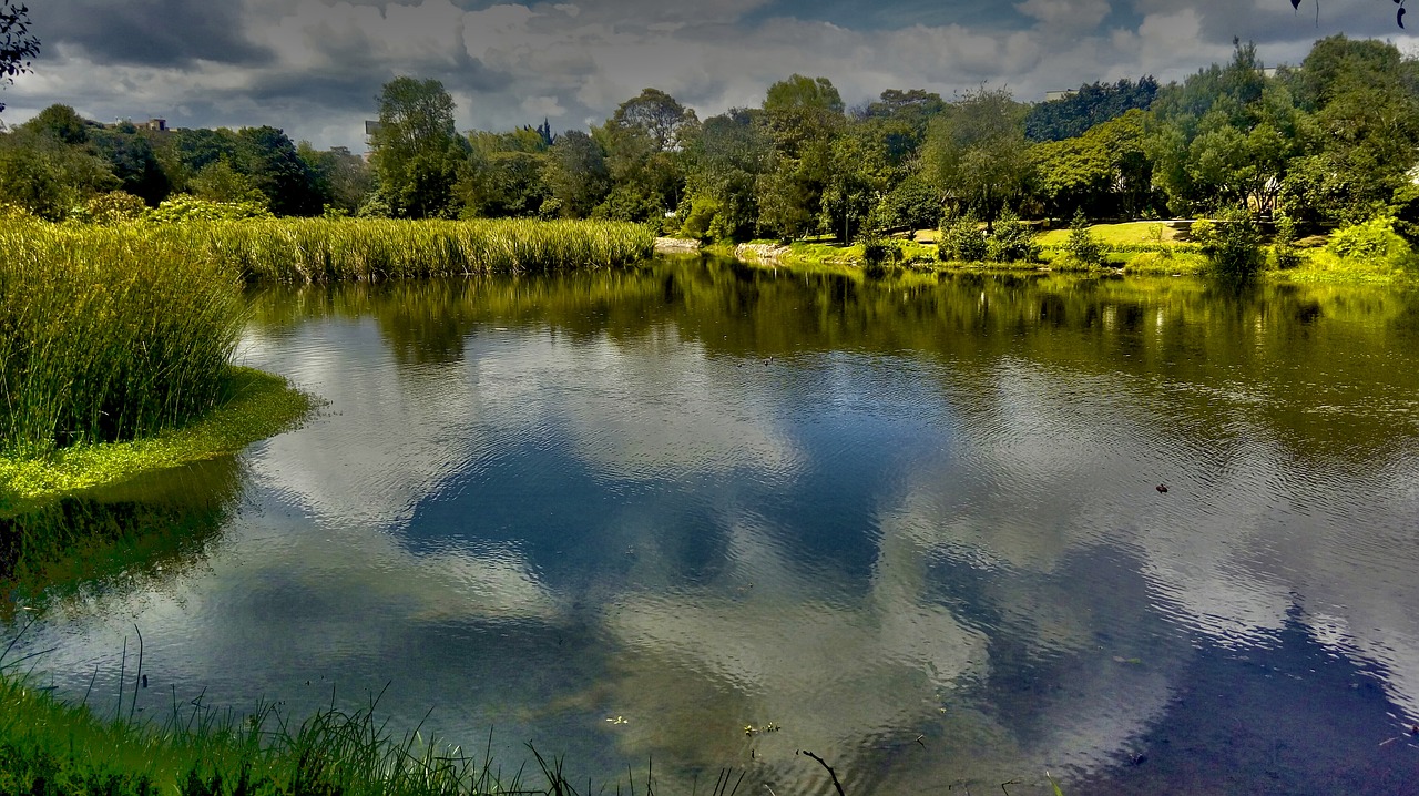 landscape hdr horizon free photo