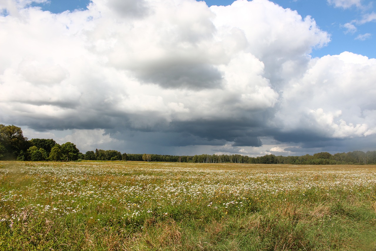 landscape view space free photo