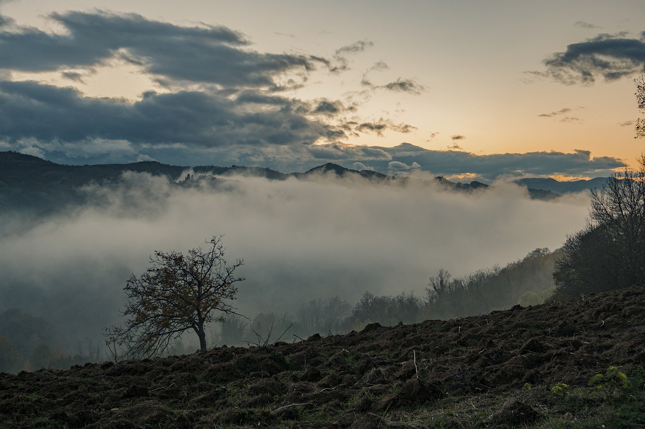 landscape fog clouds free photo