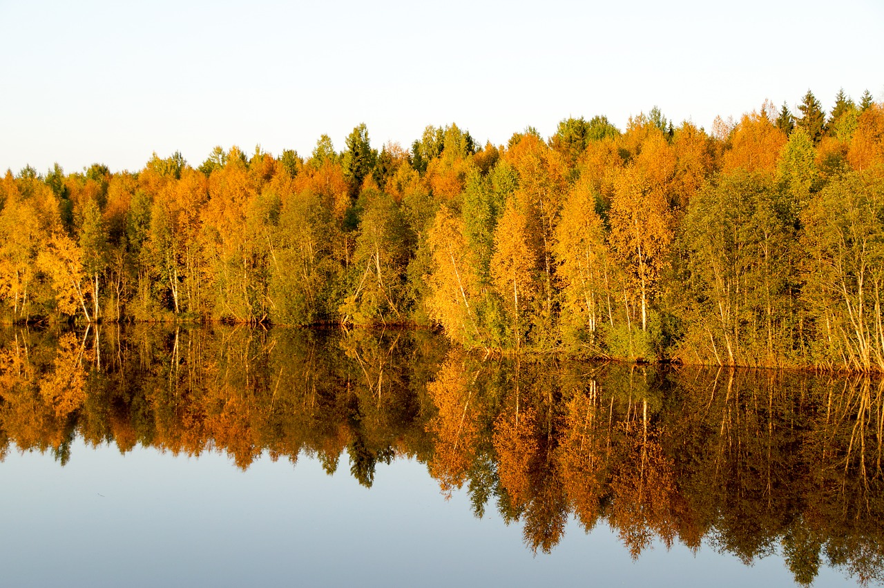 landscape lake mirroring free photo