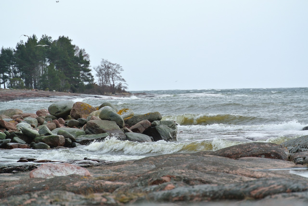 landscape sea rock free photo