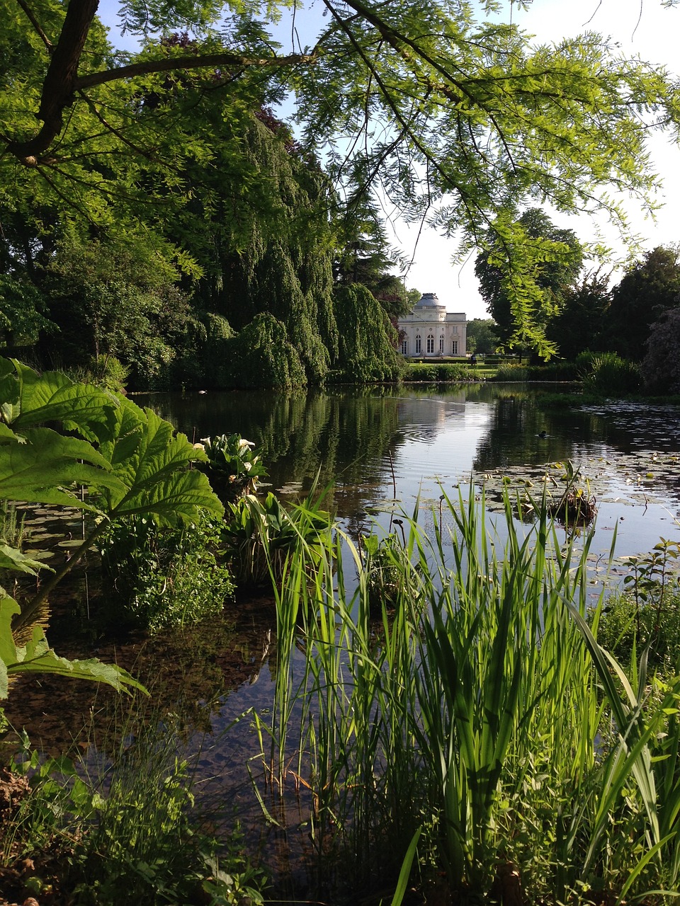 landscape garden lake free photo