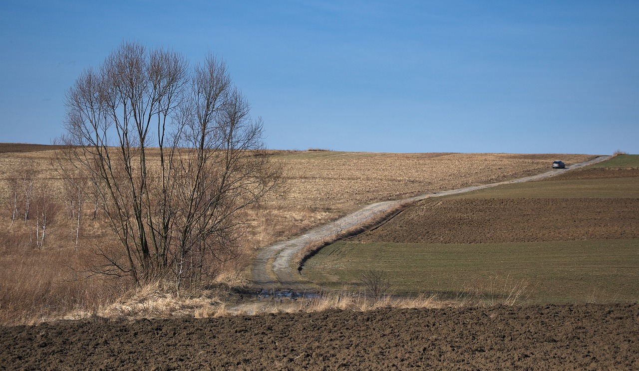 landscape way autumn free photo