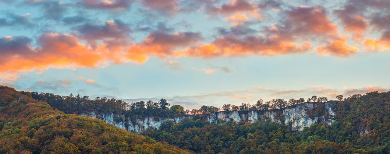 landscape forest mountains free photo