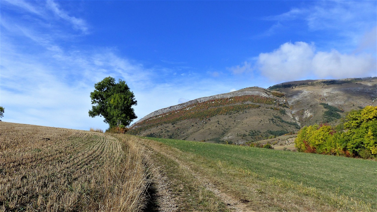 landscape fields fall free photo