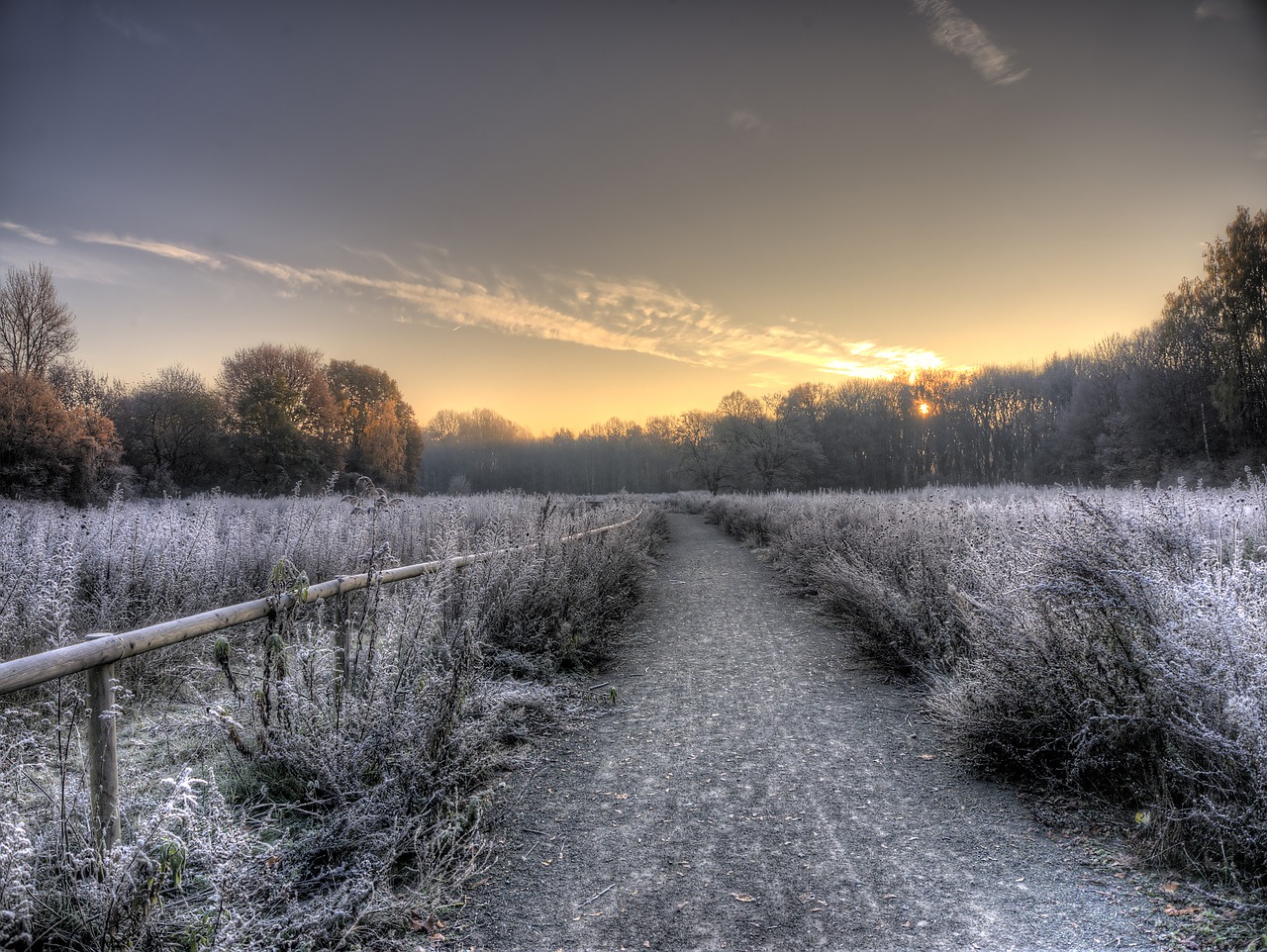 landscape winter nature free photo