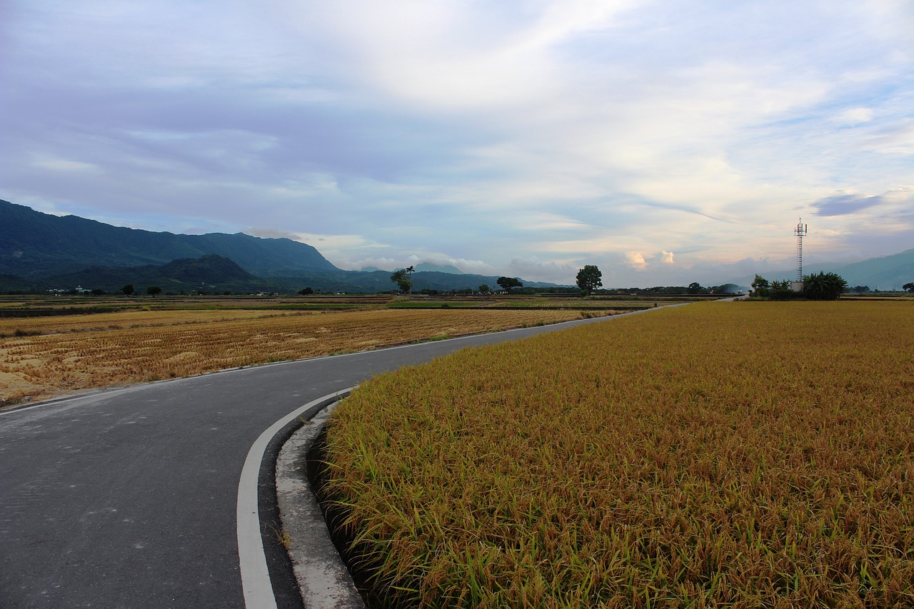 landscape road field free photo