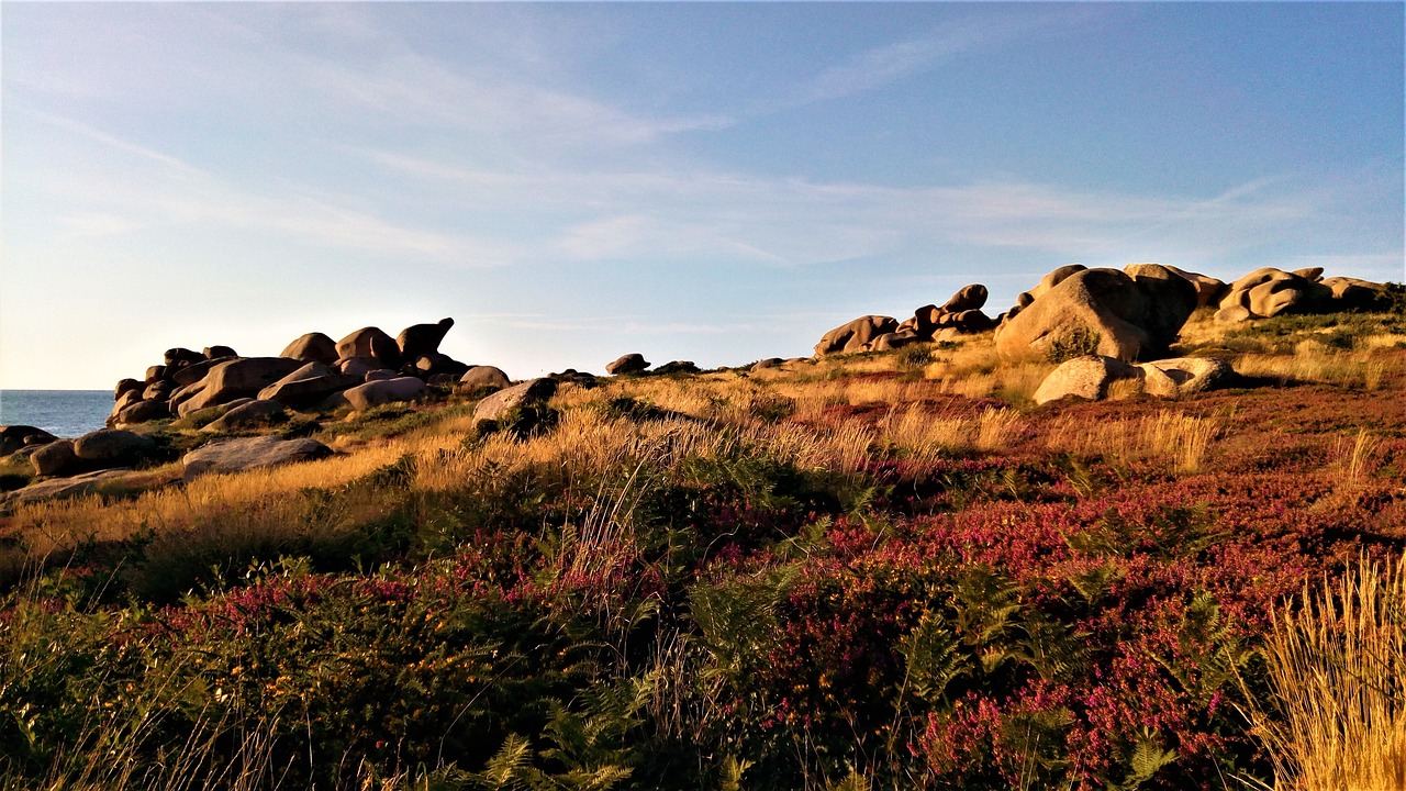 landscape panoramic nature free photo