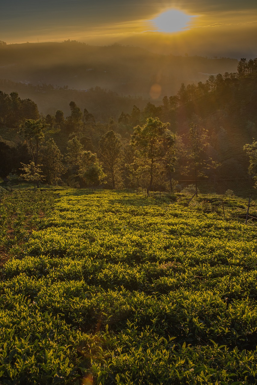 landscape panoramic nature free photo