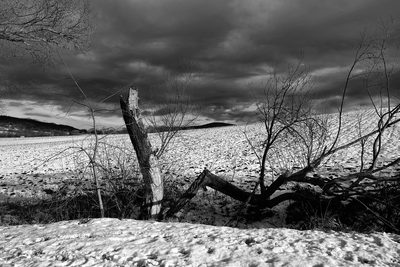 landscape clouds field free photo