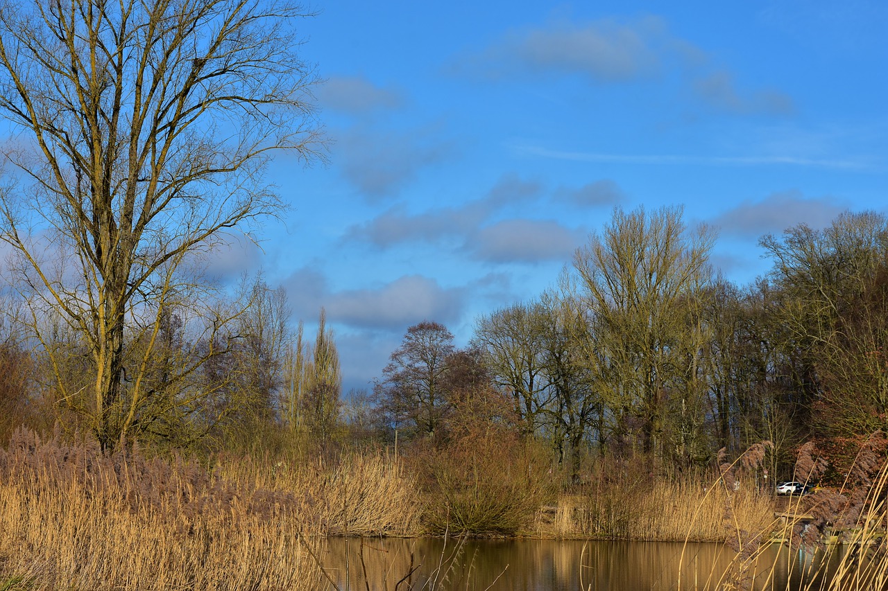 landscape panorama grass free photo