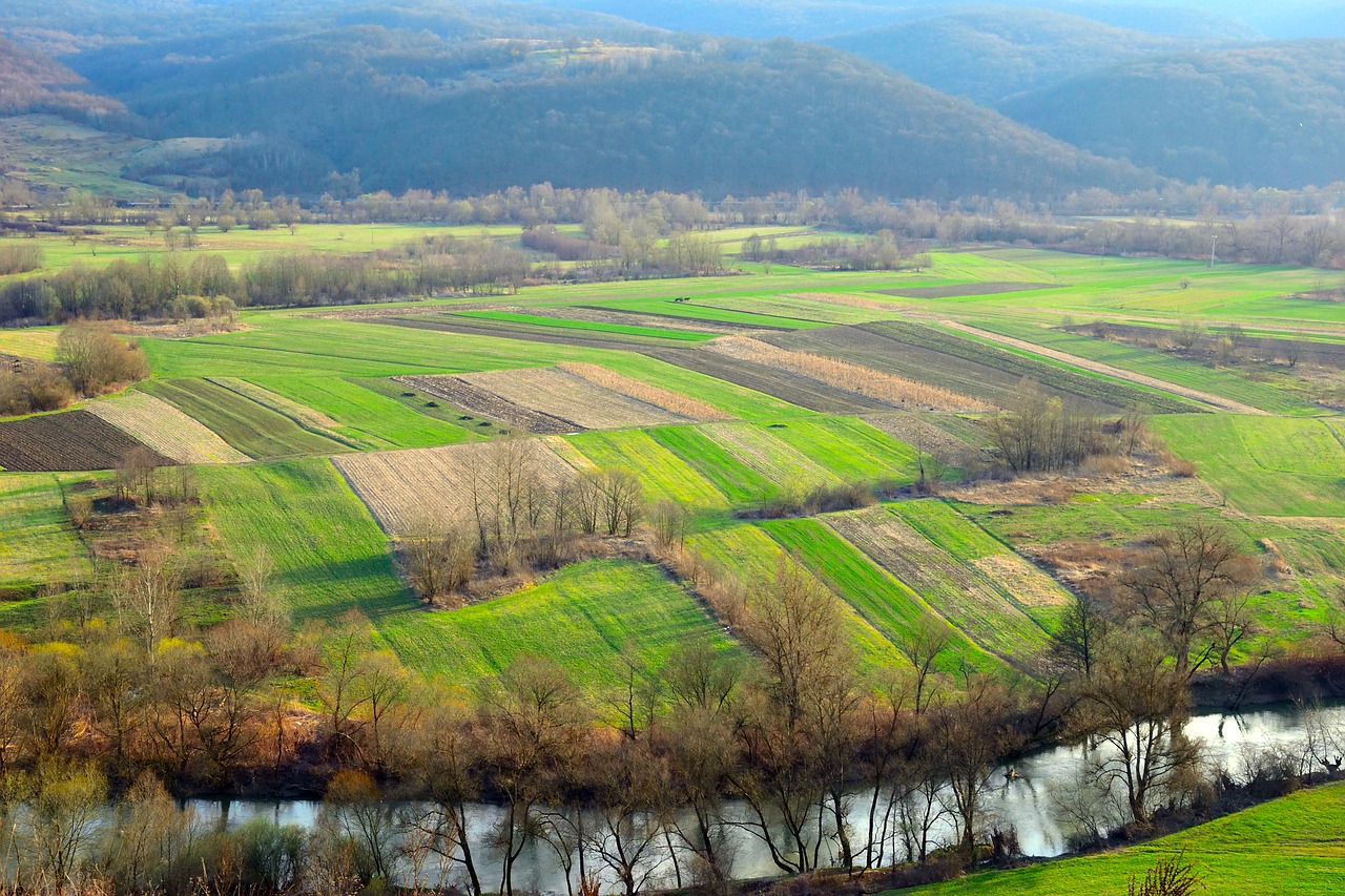 landscape field agriculture free photo