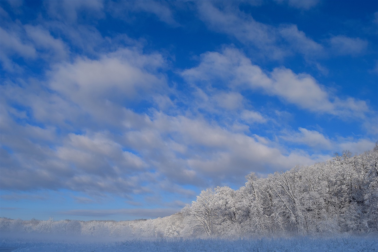 landscape snow winter free photo