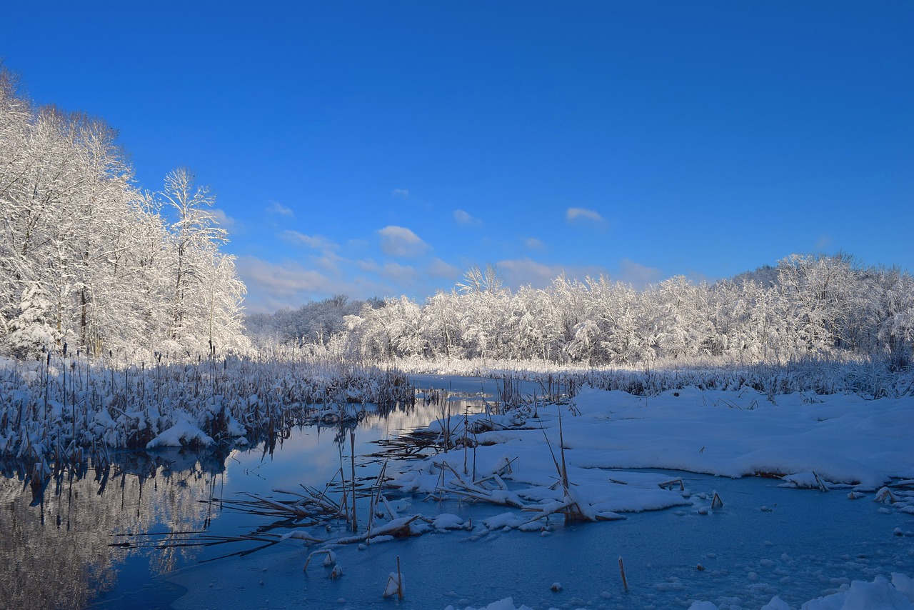 landscape snow water free photo