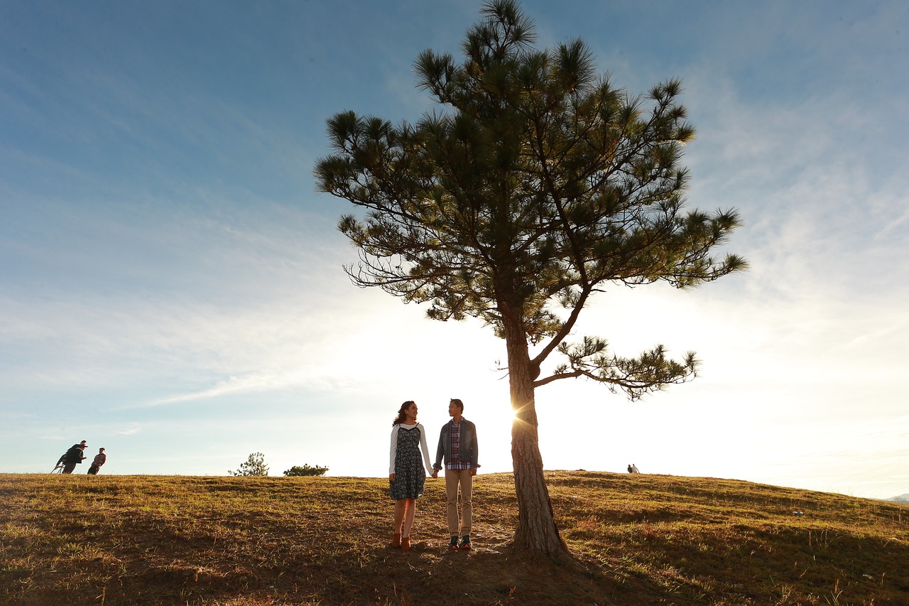 landscape tree outdoors free photo