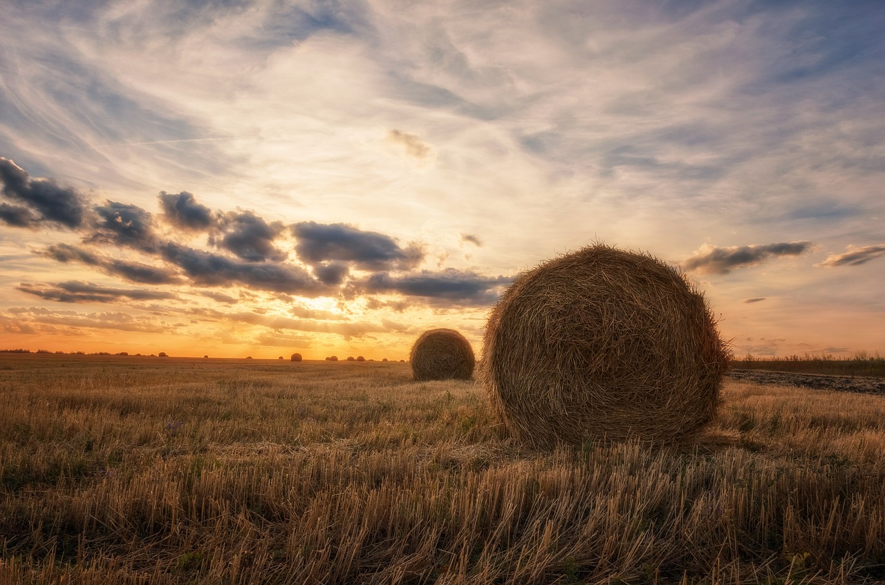 landscape field straw free photo