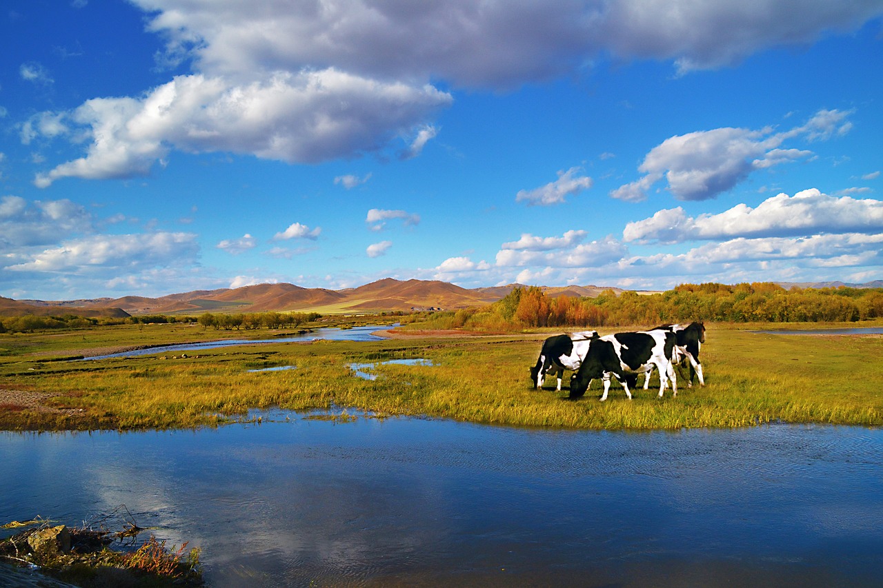 landscape a bird's eye view nature free photo