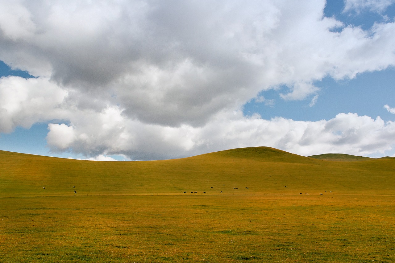 landscape a bird's eye view nature free photo