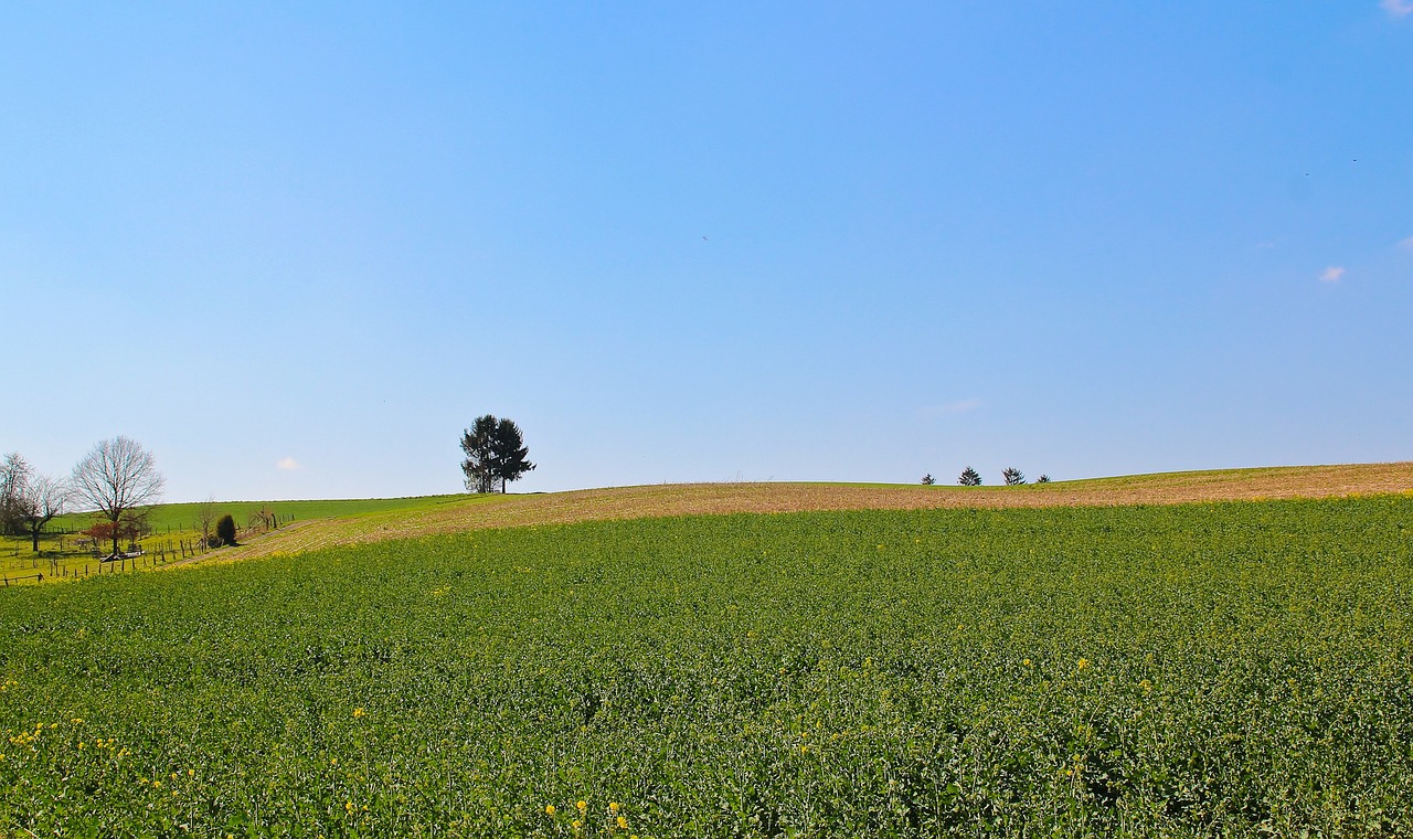 landscape nature field free photo