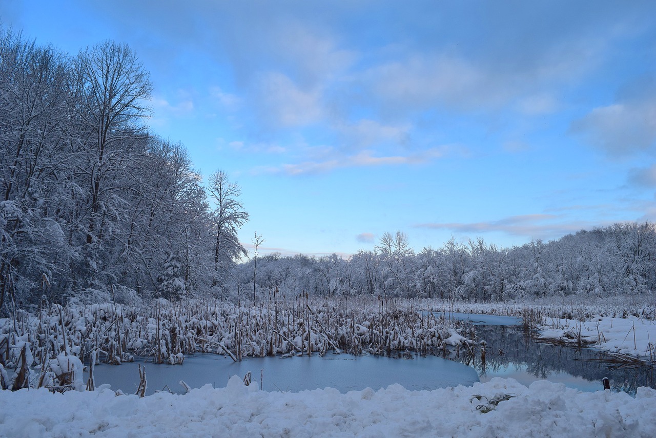 landscape snow water free photo