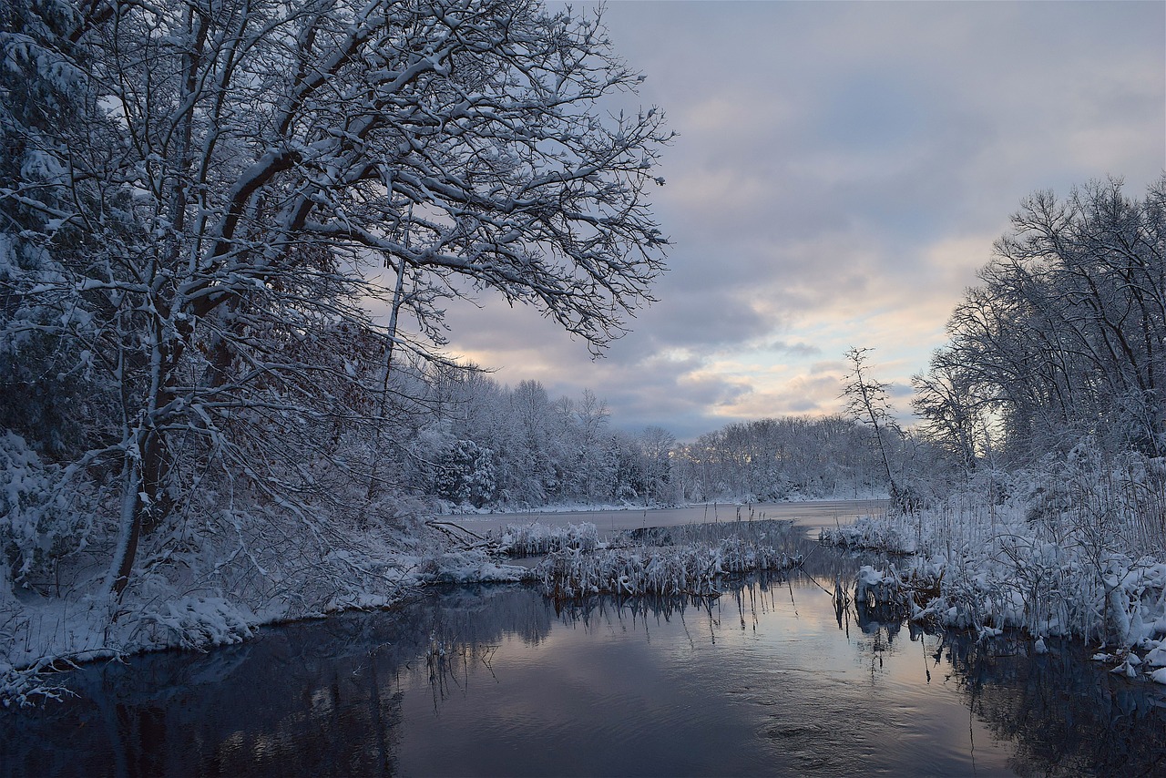 landscape snow water free photo