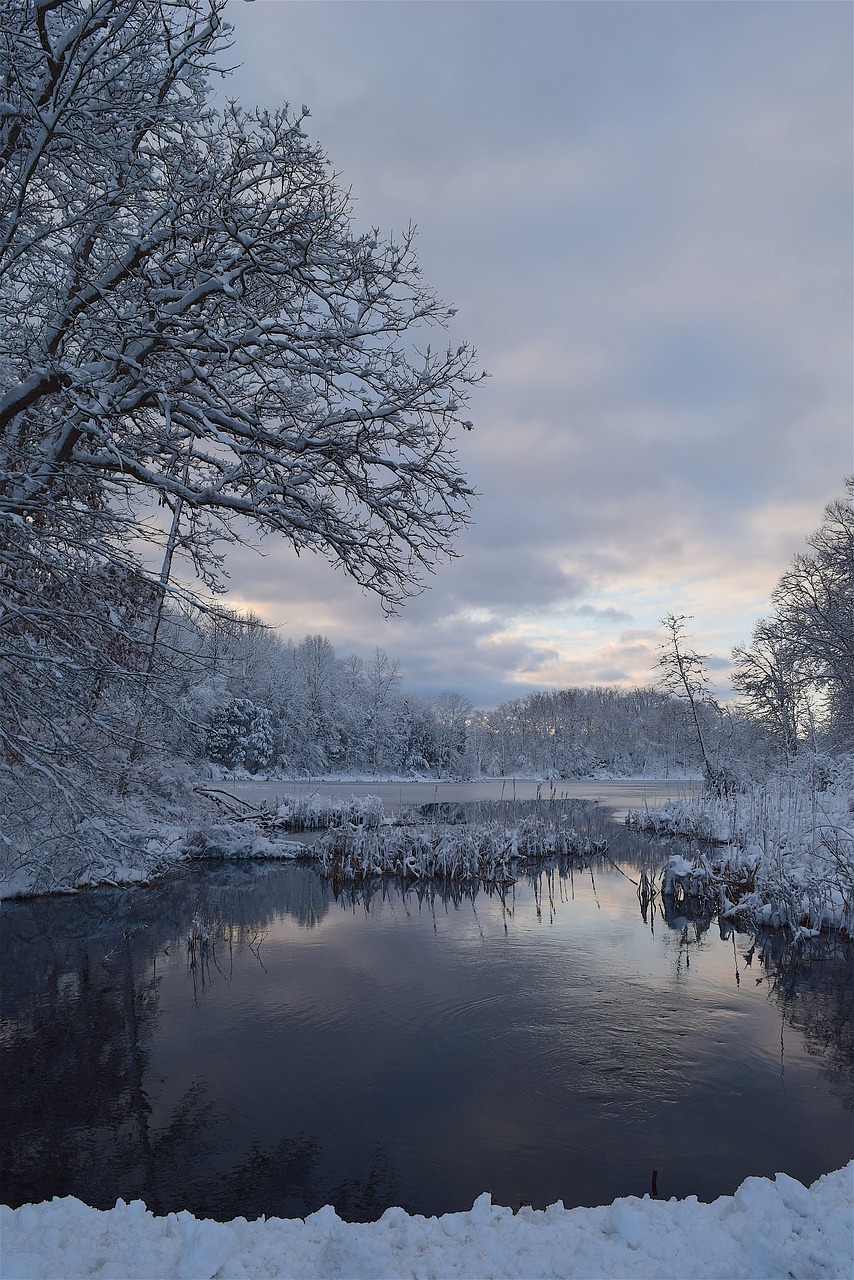 landscape snow water free photo