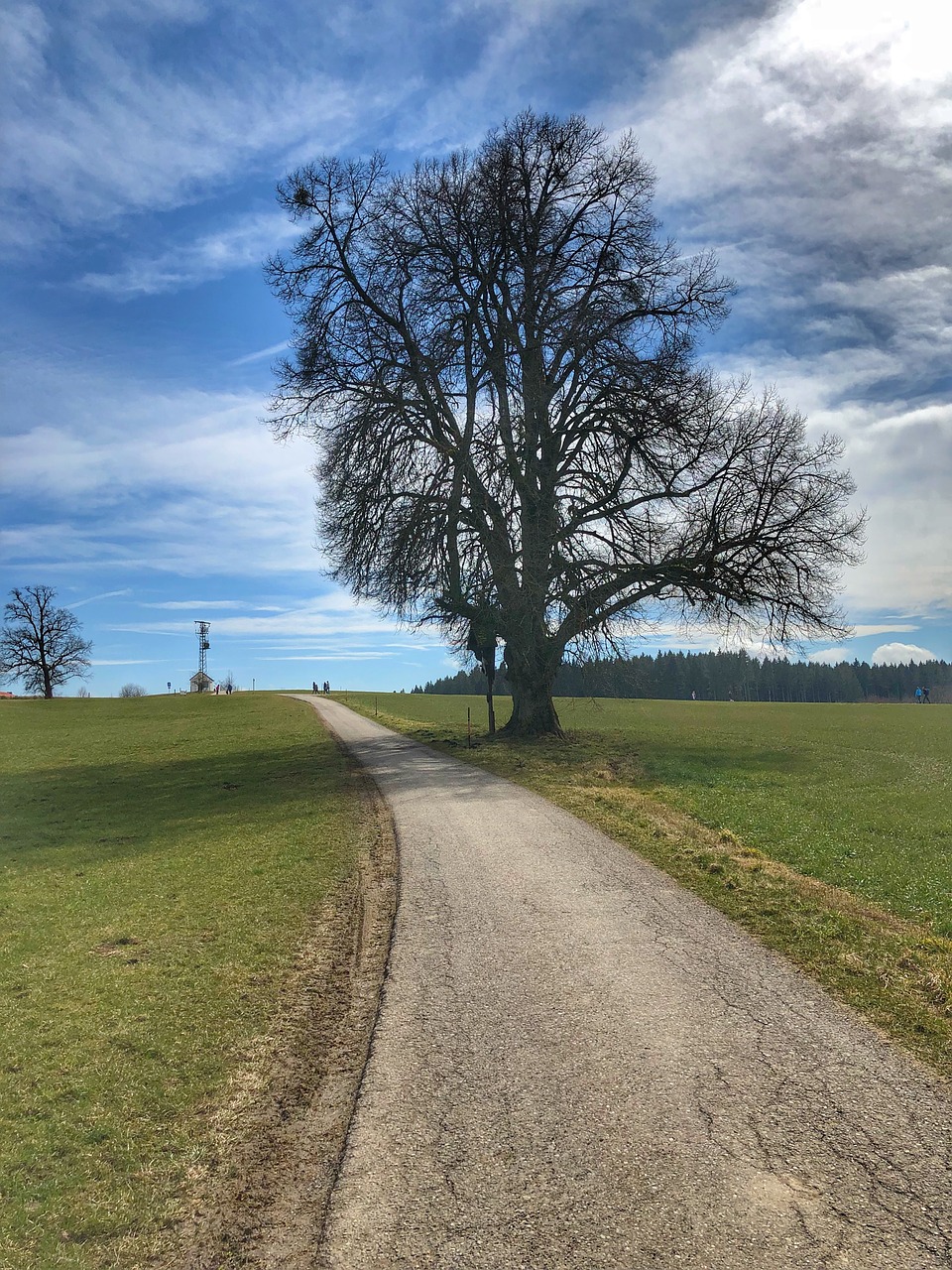 landscape road nature free photo