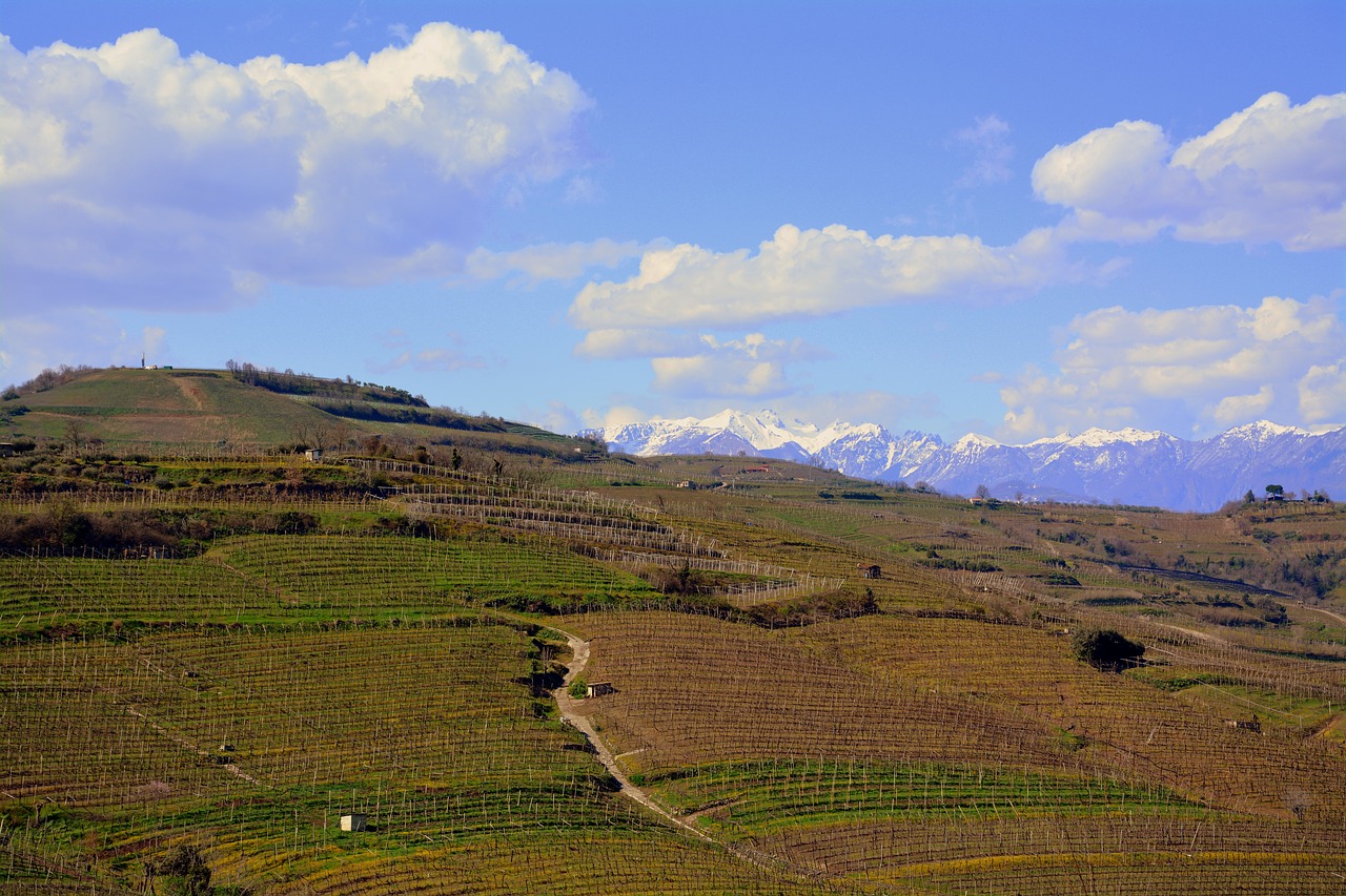 landscape nature panoramic free photo