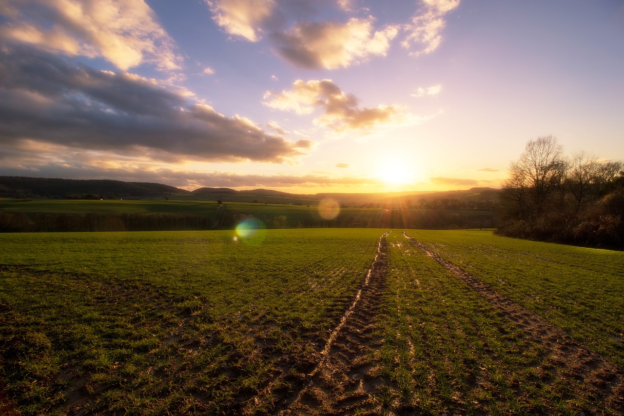 landscape nature field free photo