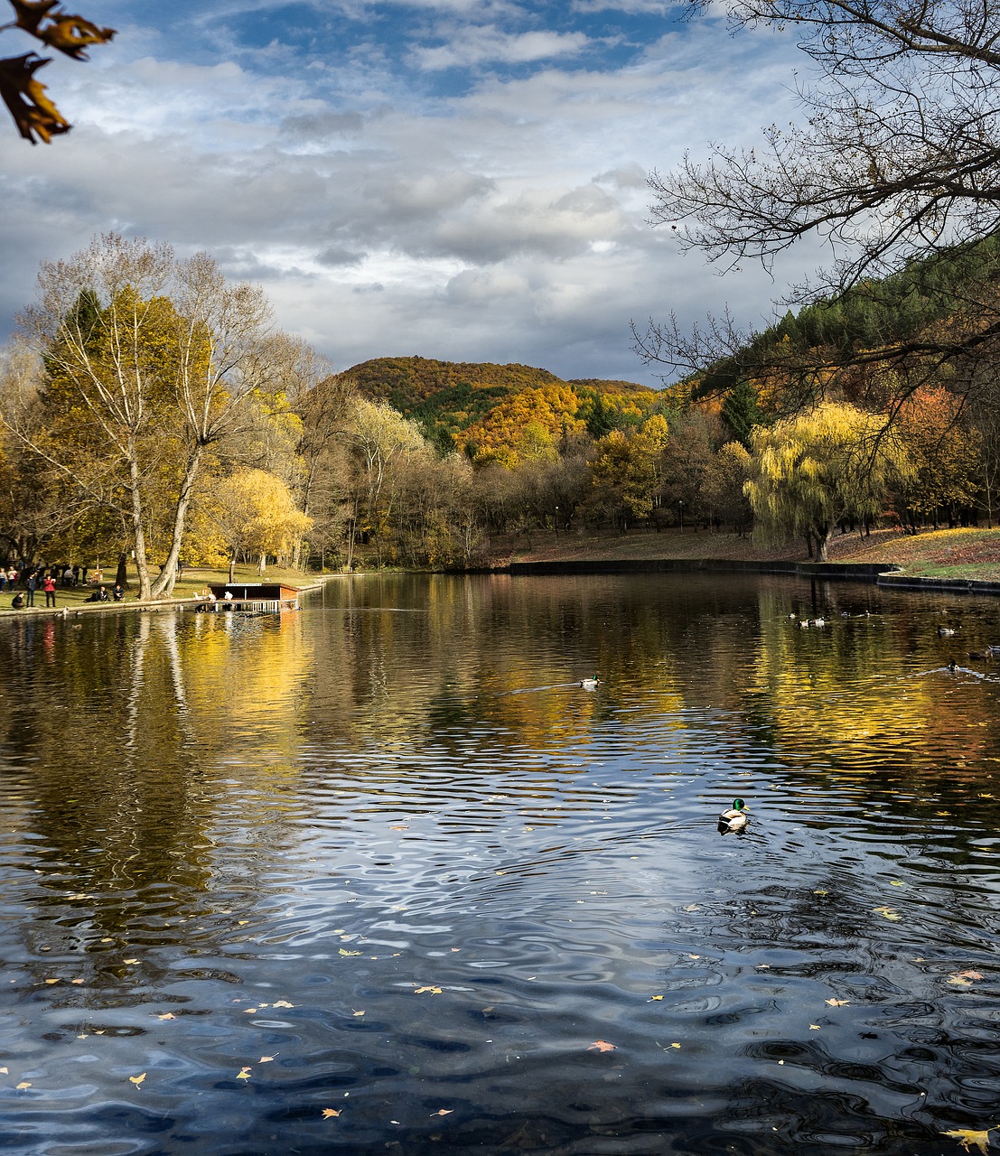 landscape lake free pictures free photo