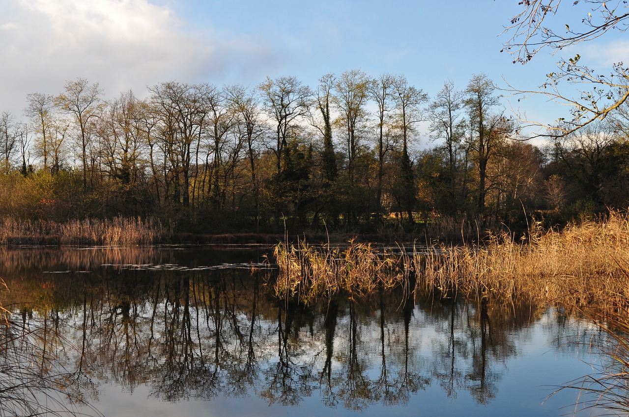 landscape nature relaxation free photo