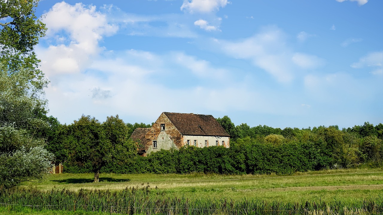 landscape  nature  summer free photo