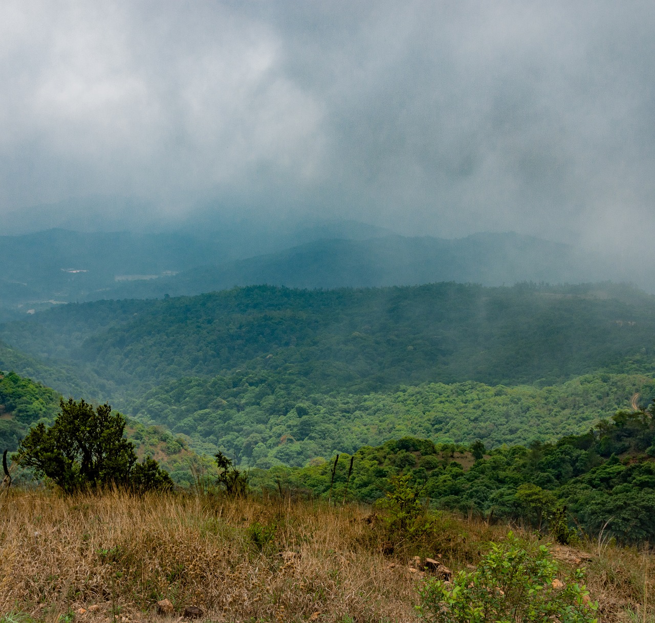 landscape  mountain  nature free photo