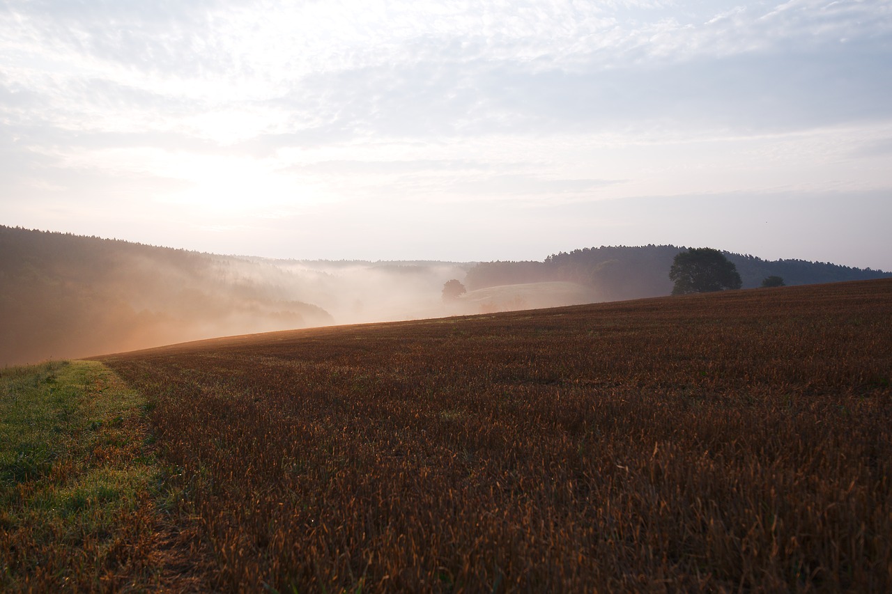 landscape  nature  sky free photo