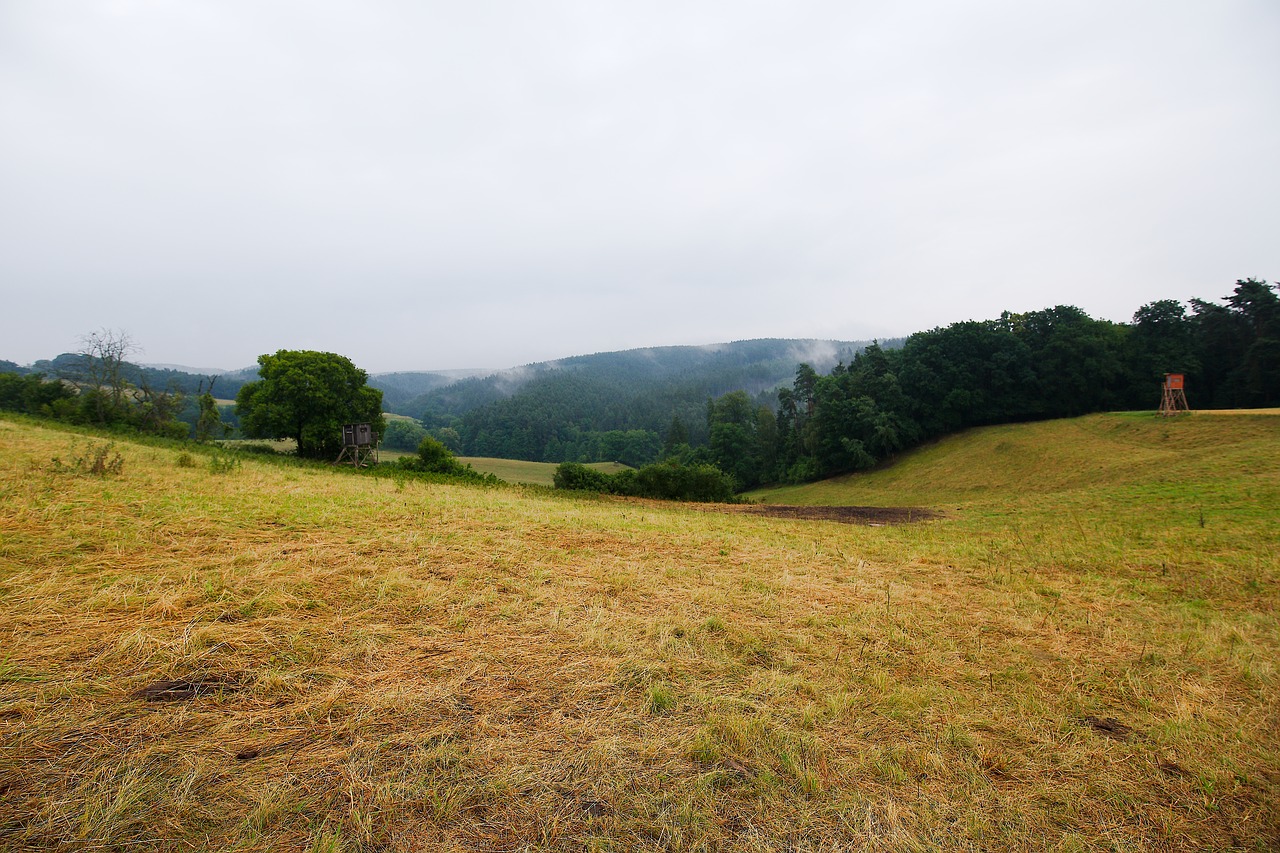 landscape  nature  panorama free photo