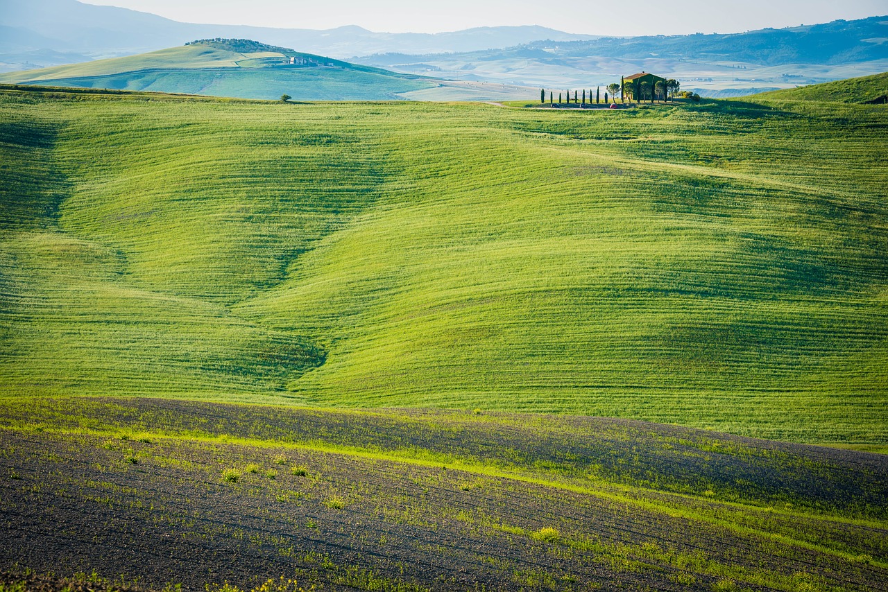 landscape  grass  field free photo