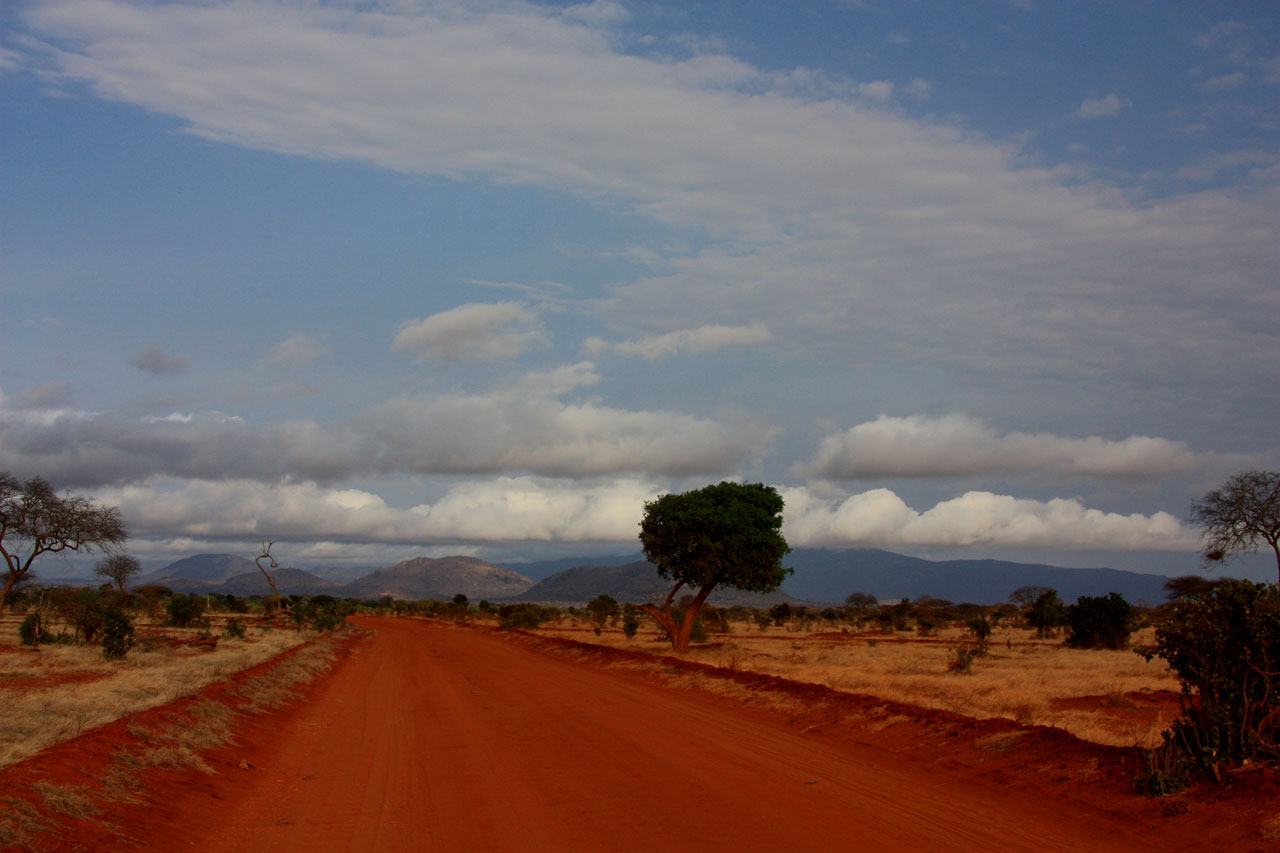 landscape tsavo national free photo
