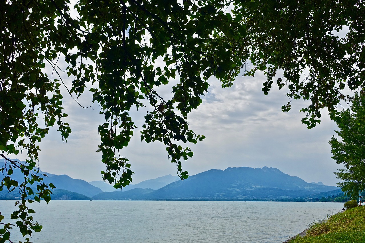 landscape  water  tree free photo