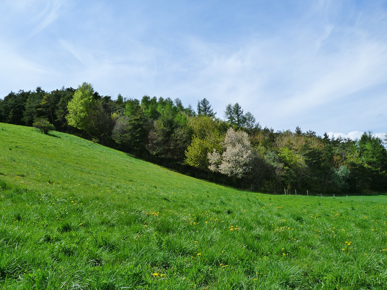 landscape nature mountain pastures free photo