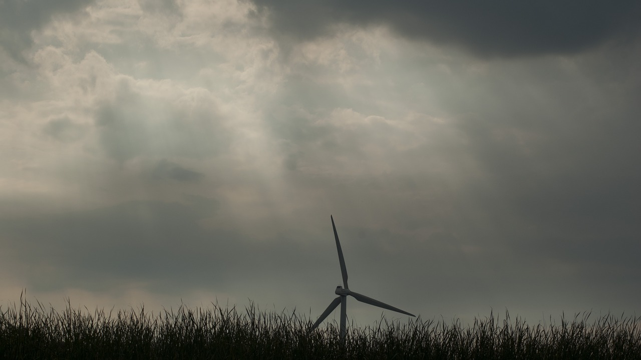 landscape  wind mill  nature free photo