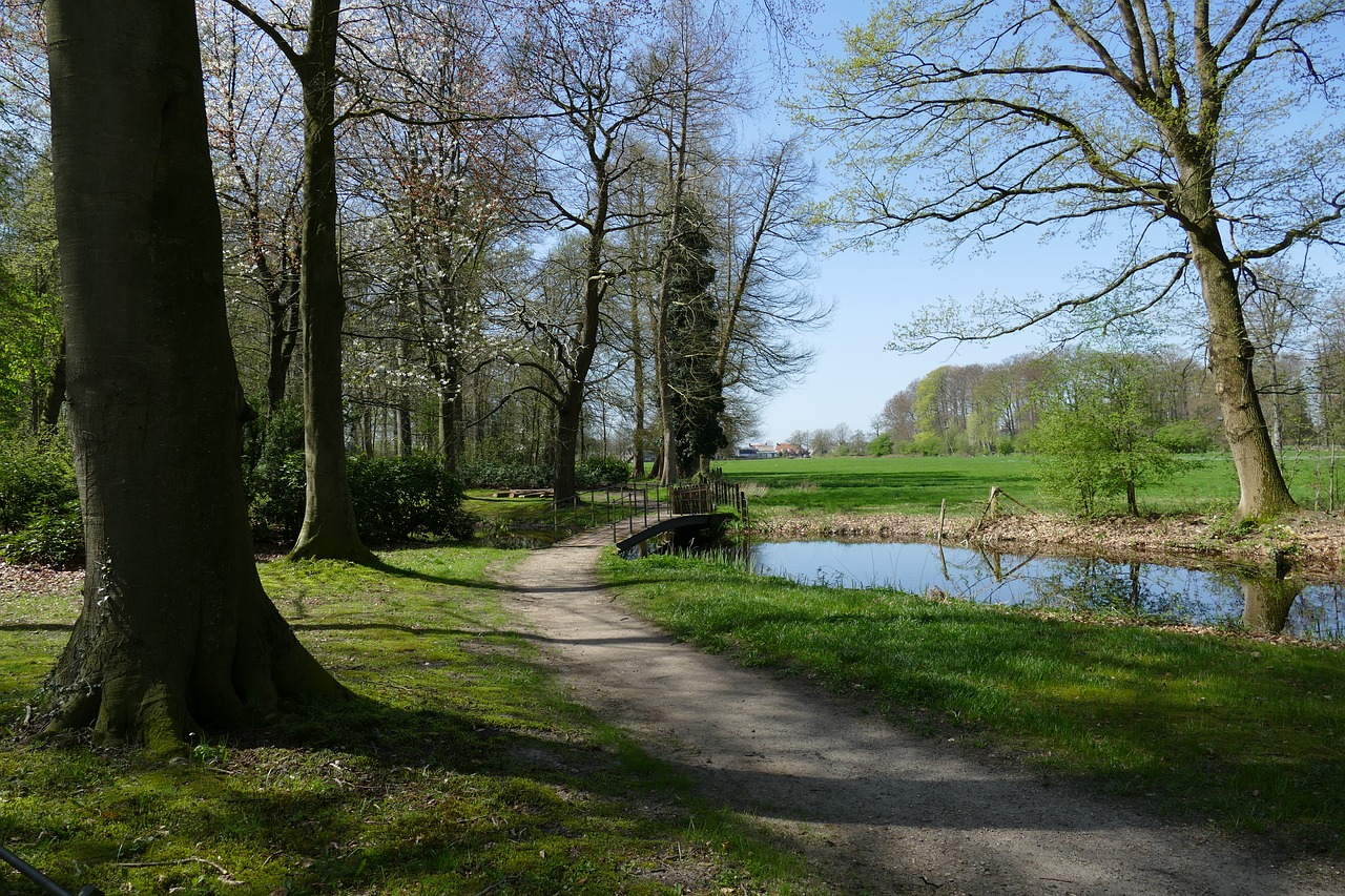 landscape  nature  park free photo