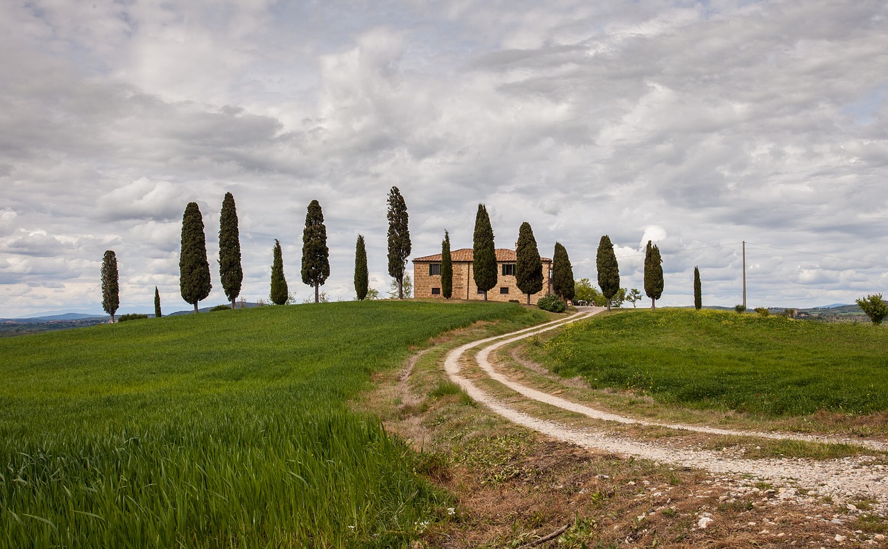 landscape  lawn  outdoors free photo