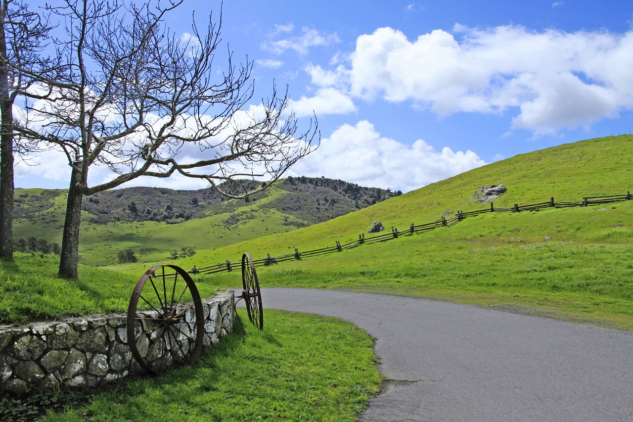 landscape  nature  grass free photo