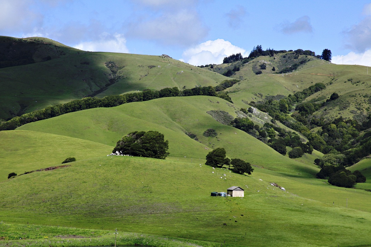 landscape  nature  grass free photo