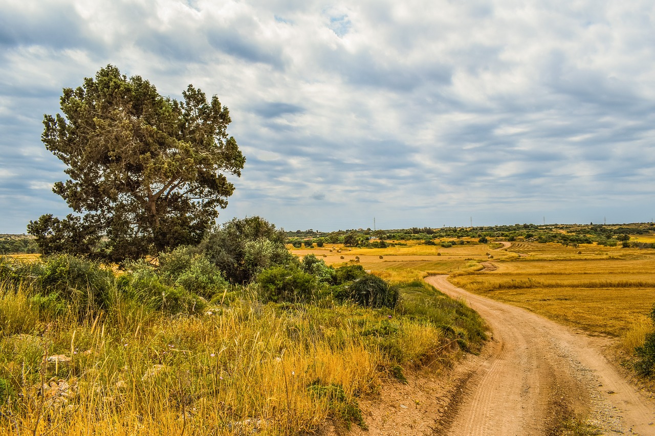 landscape  nature  sky free photo