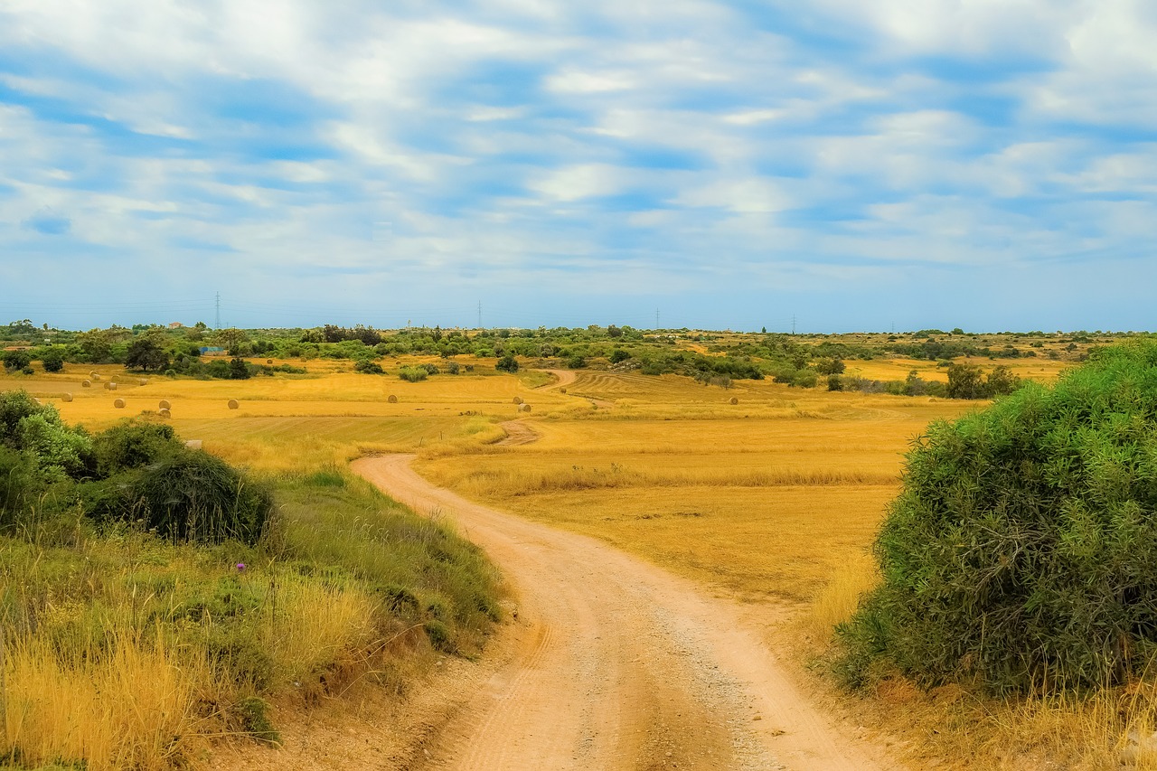 landscape  nature  sky free photo