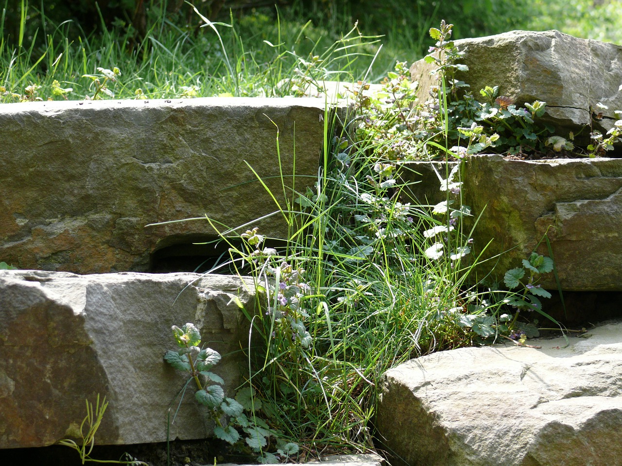 landscape nature stones free photo