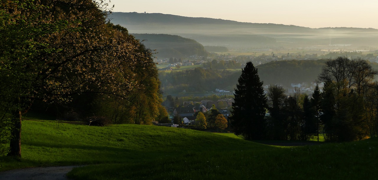 landscape  nature  morning free photo